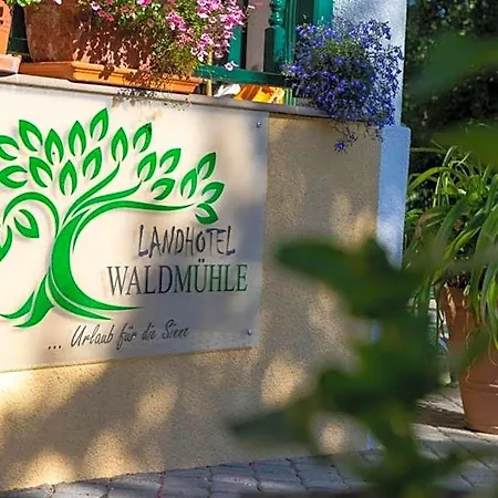호텔 Waldmuehle