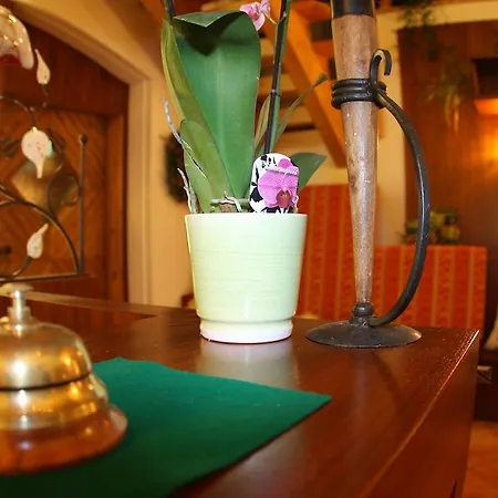 Waldmuehle 3* 장크트 게오르겐 임 아터가우