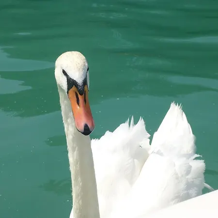 Waldmühle Sankt Georgen im Attergau
