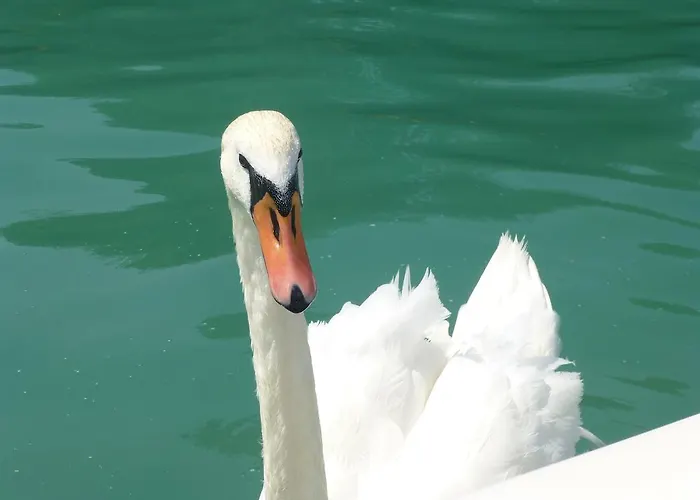 Waldmuehle سانكت جورجين ام اترغاو